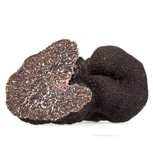 Burgundy Truffles – Tuber Uncinatum