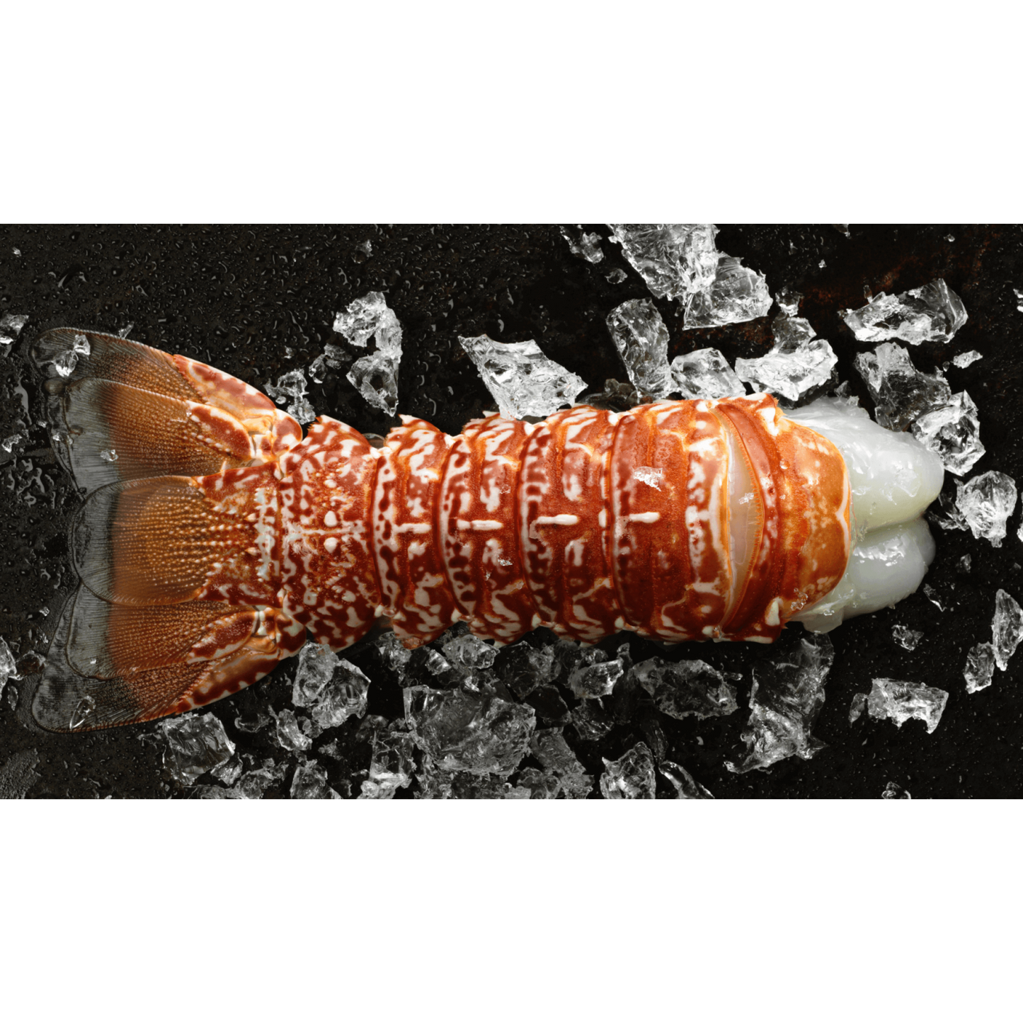 South African Lobster Tails