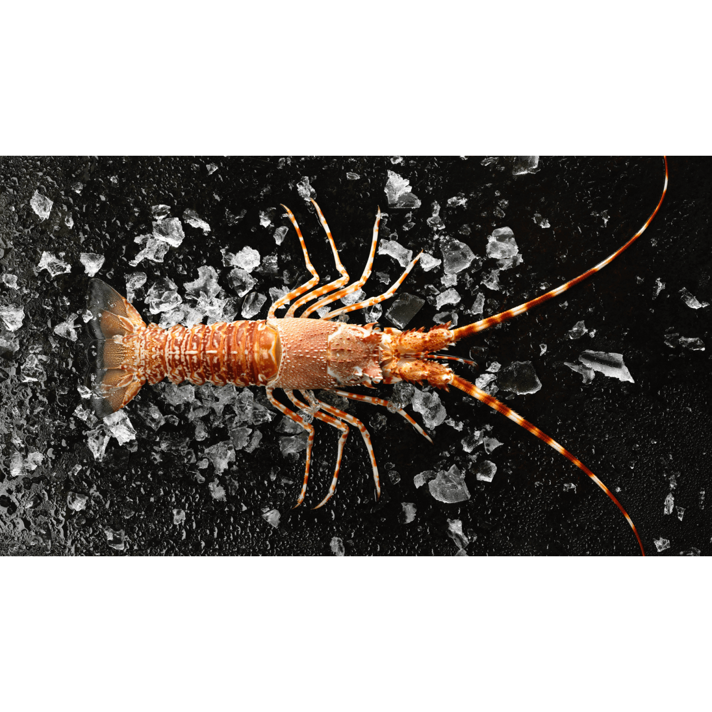 South African Lobster Tails