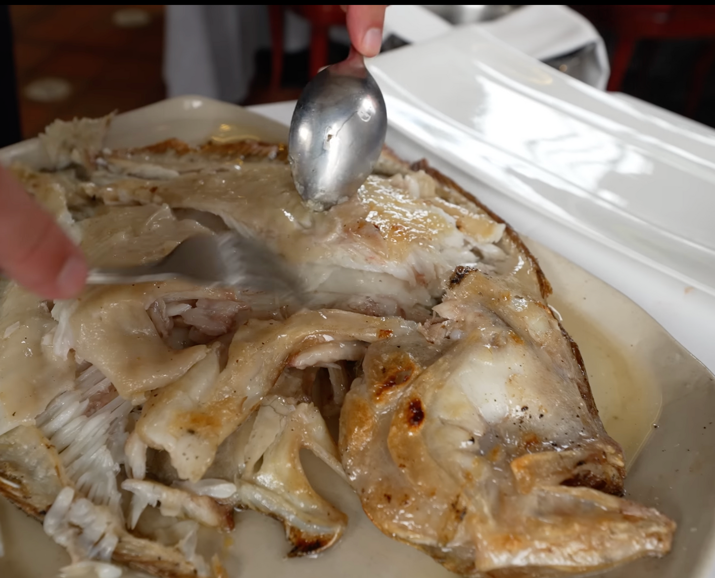 European Turbot Fillet (1 - 2.2lbs)