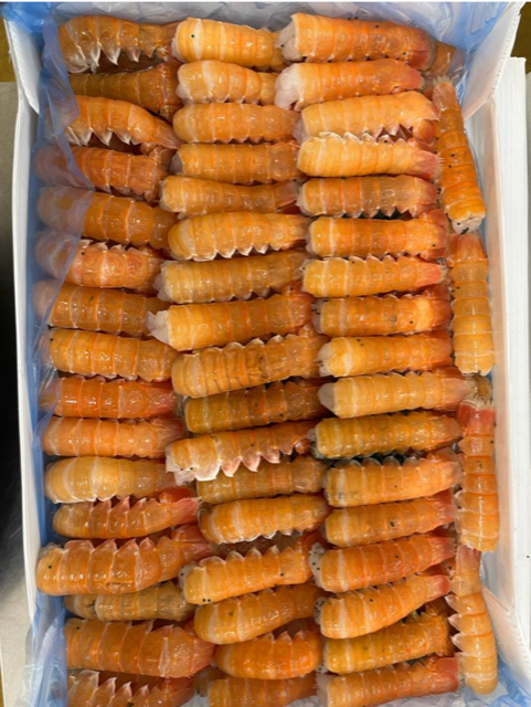 Langoustine Tails (1 lb.)